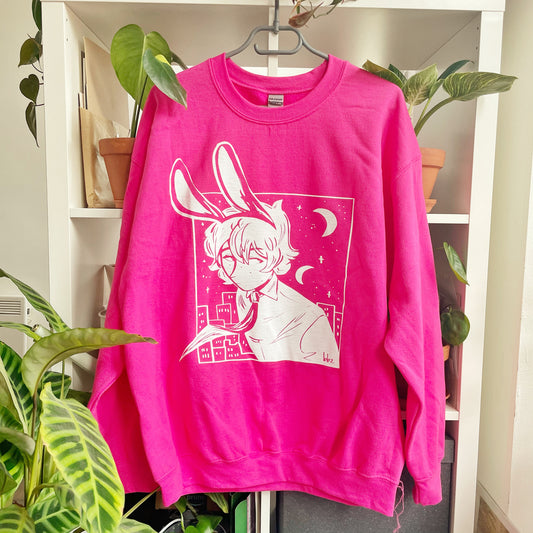 Bunny Boy Sweatshirt